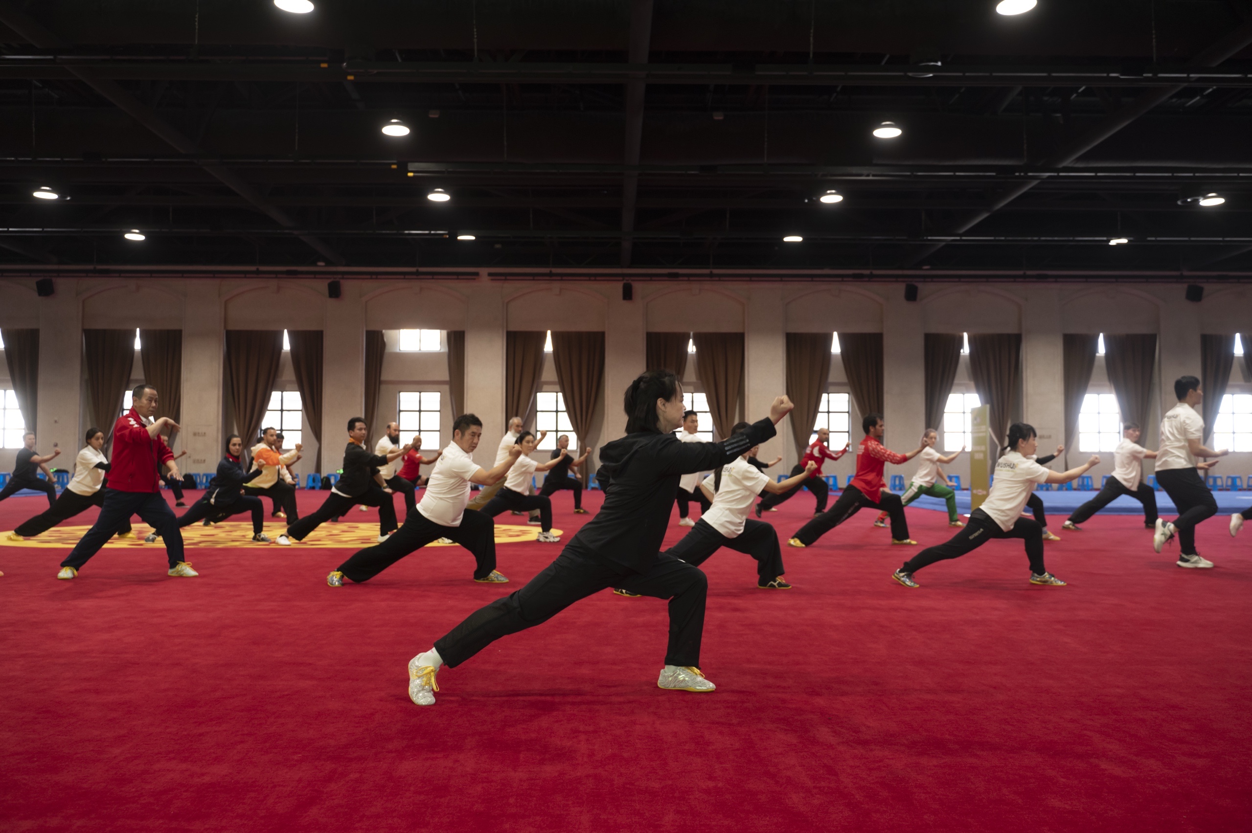 Wushu Taolu Coaches Training Course 2025