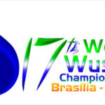 17th World Wushu Championships 2025.08.31 – 2025.09.07